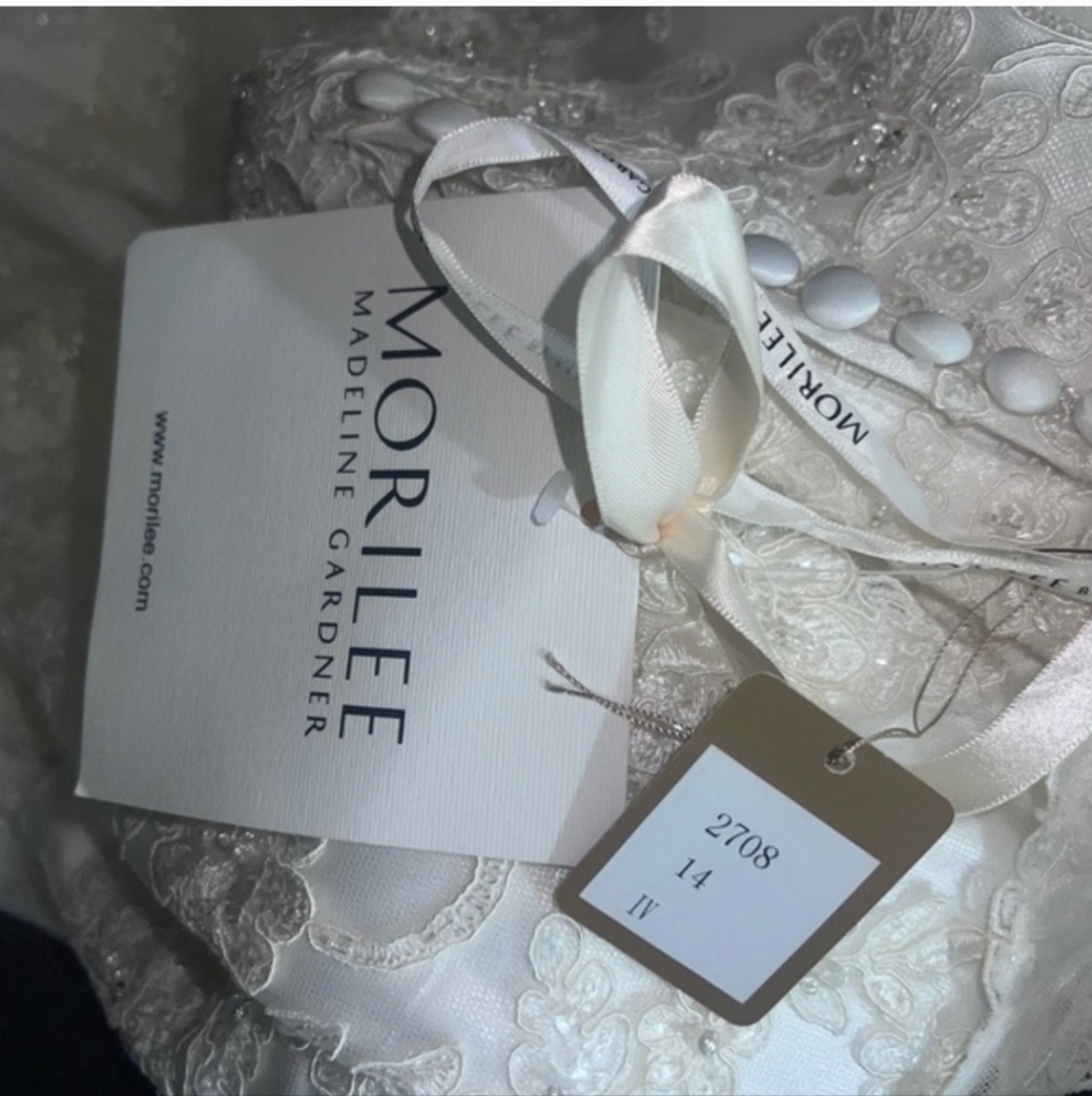 Elegant  Ivory Wedding Dress - Picture 8 of 17